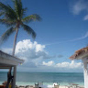 Meet your Posher, Angie